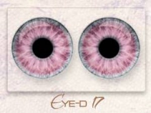 Eye-d 17